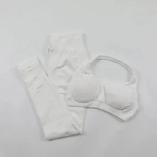 Seamless High Elastic Yoga Set Women 2 Piece Sportswear