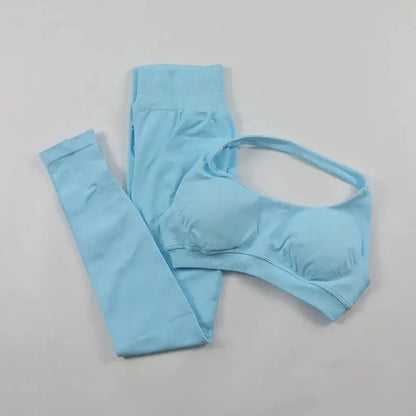 Seamless High Elastic Yoga Set Women 2 Piece Sportswear